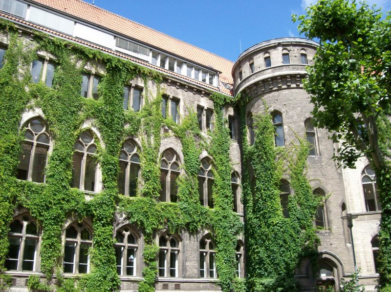 Rathaus-Innenhof mit begrünter Fassade (Foto: Barbara Schulze / 28. Juni 2019)