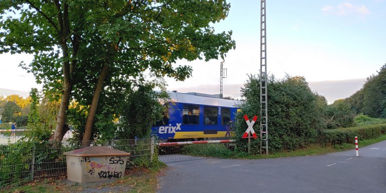 Grüne Stellungnahme zum Bürgerbegehren Grünewaldstraße
