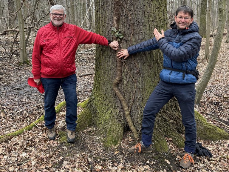Rot-Grünes Pilotprojekt für mehr Waldschutz ist gestartet