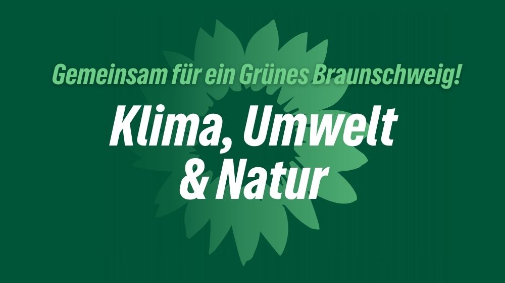 Das Bild zeigt die Sonnenblume als Logo der Partei BÜNDNIS 90/DIE GRÜNEN. Außerdem sind hier die Schriftzüge "Gemeinsam für ein Grünes Braunschweig" und "Klima, Umwelt & Natur" zu lesen.