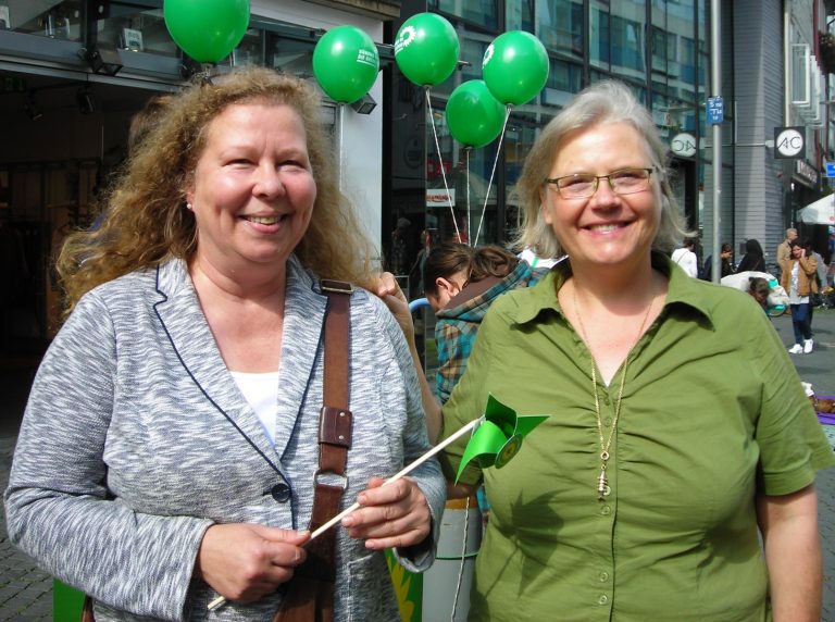 Brückenneubau im Bürgerpark – Grüne für Variante 1 / Rahmenbrücke
