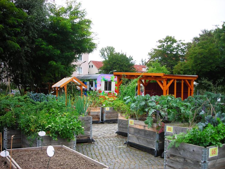 Ernährungsrat als wichtiges Projekt auf den Weg bringen!