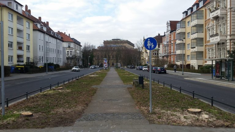 Jasperallee: Grüne bedauern Baumfällungen